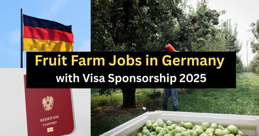 Fruit Farm Jobs in Germany with Visa Sponsorship 2025